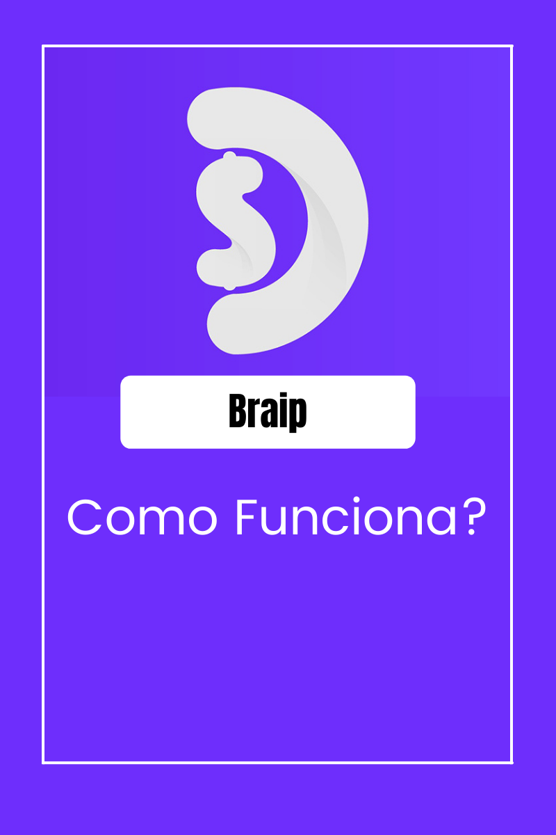 Braip O Que E Como Funciona Marketing Digital Resumido