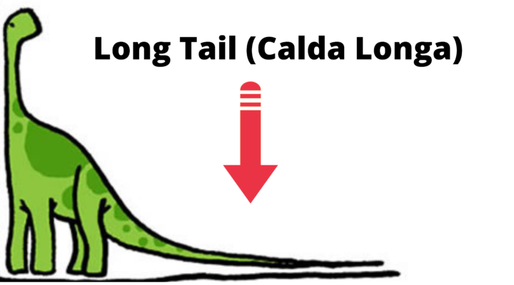 Palavra-Chave De Cauda Longa: O Que é? E Como Usa-la?